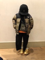 THE NORTH FACE(ザ・ノース・フェイス)のダウンジャケット