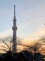 春夏おすすめアイテムのブログ。〜1年てあっという間だ〜