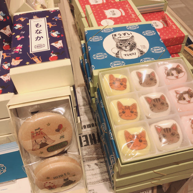 ＼だって『猫の日』だから！！／