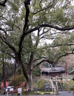 今週のおすすめABC。