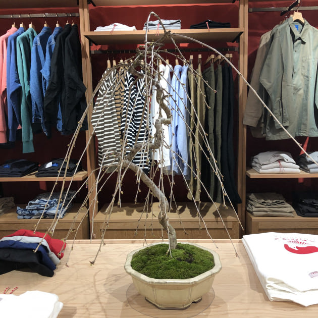 おうちでお祭り気分