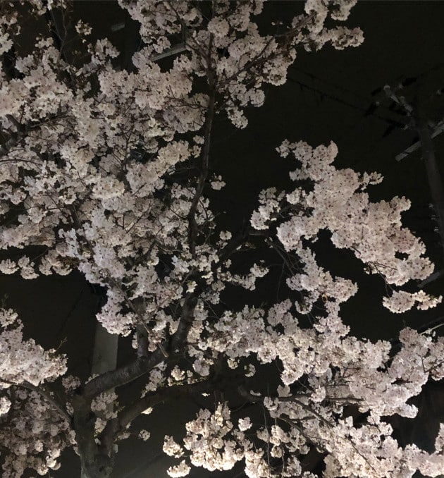Spring has come.