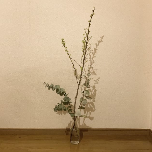 ビリケンは幸運の神…ビルケンはサンダルの、神！？