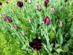 Spring Pick Me Ups!