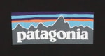 patagoniaを深掘り！！