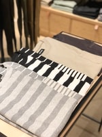 季節もTシャツも切り替えちゃえ！