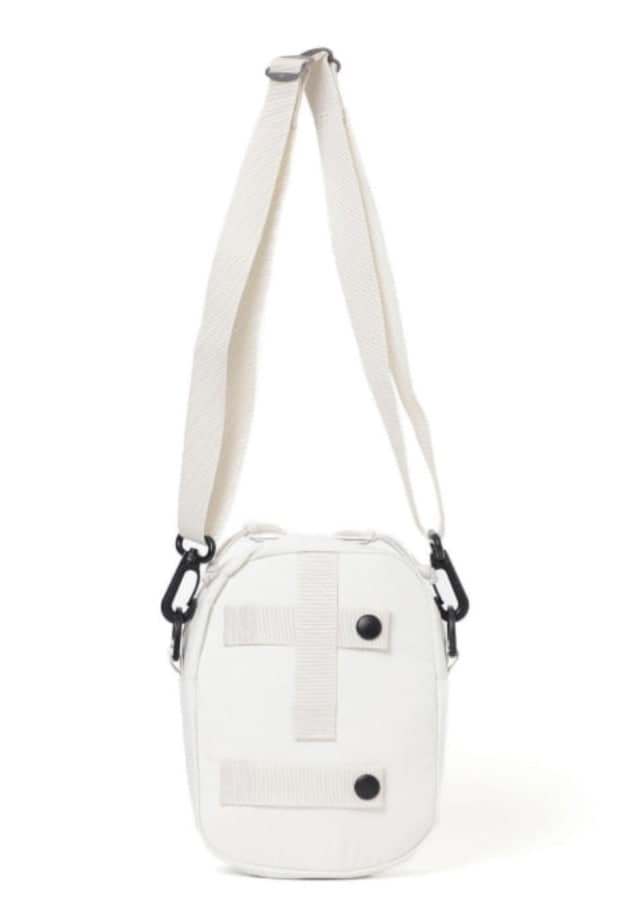 ビームス　GREGORY ✖️ Yu Nagabaコラボ　デイバッグ 今回はイーブイが、、！YU NAGABA × ポケモンカードゲーム for BEAMS