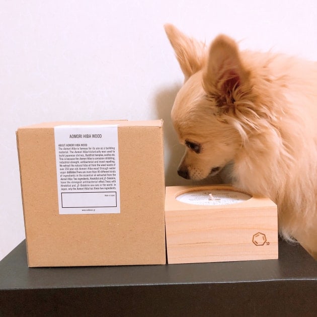 Cul de Sac-JAPON キャンドル