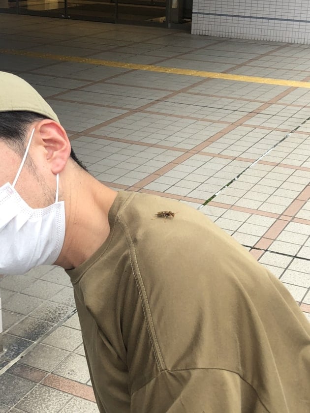 【予約】秋冬オススメシャツはこちら！