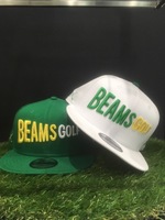 NEW ERA シリーズ