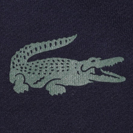 LACOSTE 〉BEAMS EXCLUSIVE EDITION｜ビームス ストリート 横浜｜BEAMS