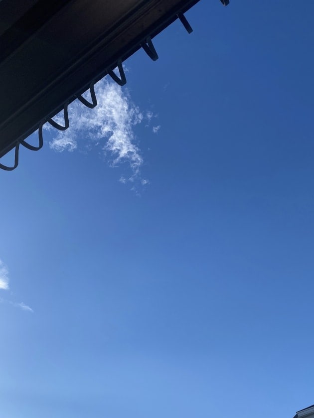 前派？後ろ派？