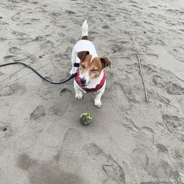 《maturely》がいっぱい届きました♡