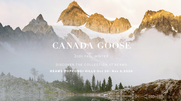 Canada goose discount beams