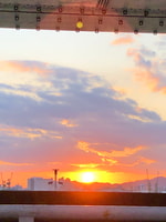 この冬1番のお気に入り