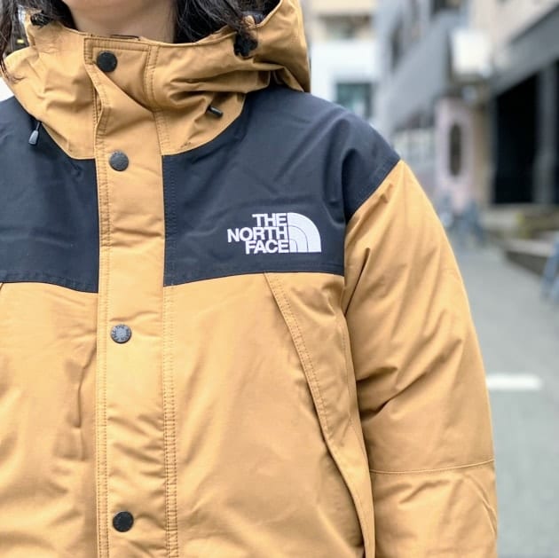 THE NORTH FACE MOUNTAIN DOWNCOAT