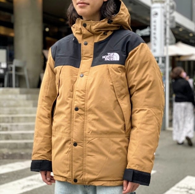 THE NORTH FACE】Mountain Down Jacketが入荷です！｜ビームス メン