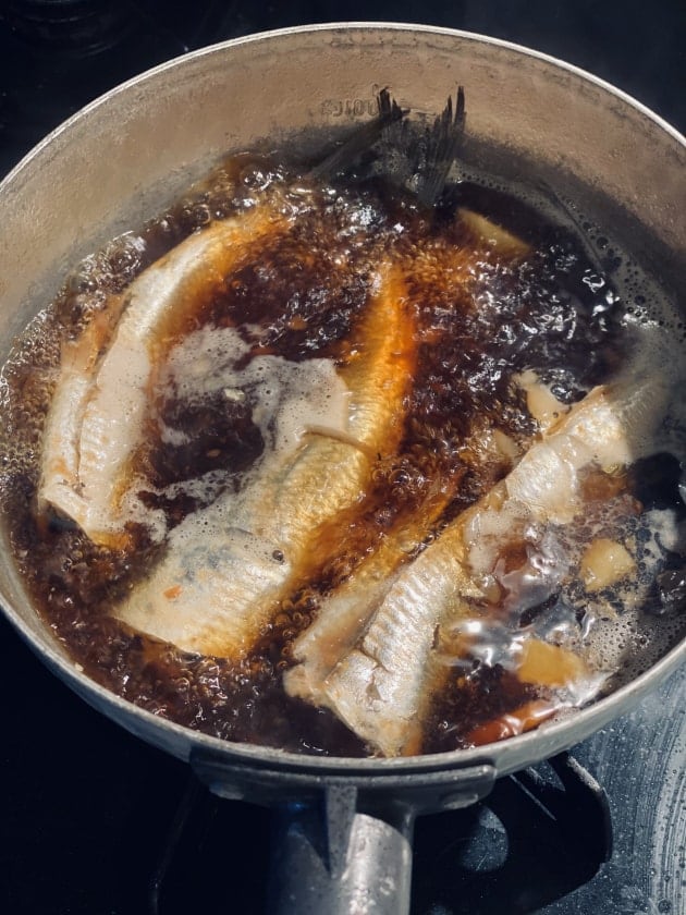 光る鰯を見つけたから。