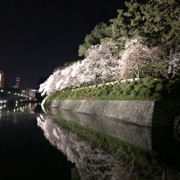 春の「コレ欲しい！」③