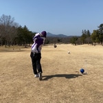 風にも負ける、花粉にも負ける