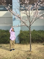 お花見にも合うピンクも。リネンシャツご紹介！