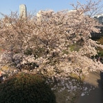 リラックススタイルもいいですね。