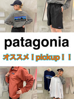 【女性にもオススメ】patagonia pick upアイテム!