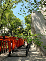 【街場の避暑】