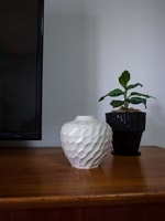 N/OH 花器の世界