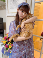 ●動物保護団体、寄付のご報告●