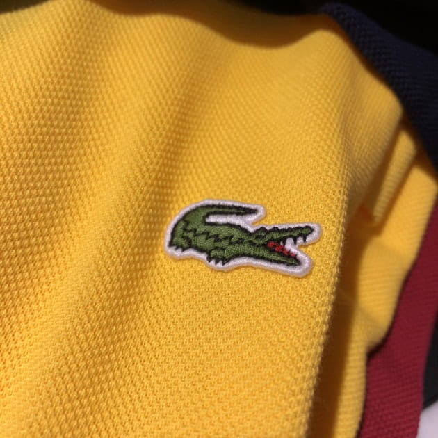 やっぱりワニかと