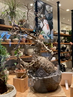 N/OH POP UP  ビーミング ライフストア by ビームス 横浜ポルタ店編