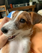 このシリーズはやばい！！！