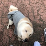 定番デニム＜RED CARD(レッドカード)＞ぜひ一度はお試しあれ。