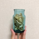 ＜最近の癒し＞