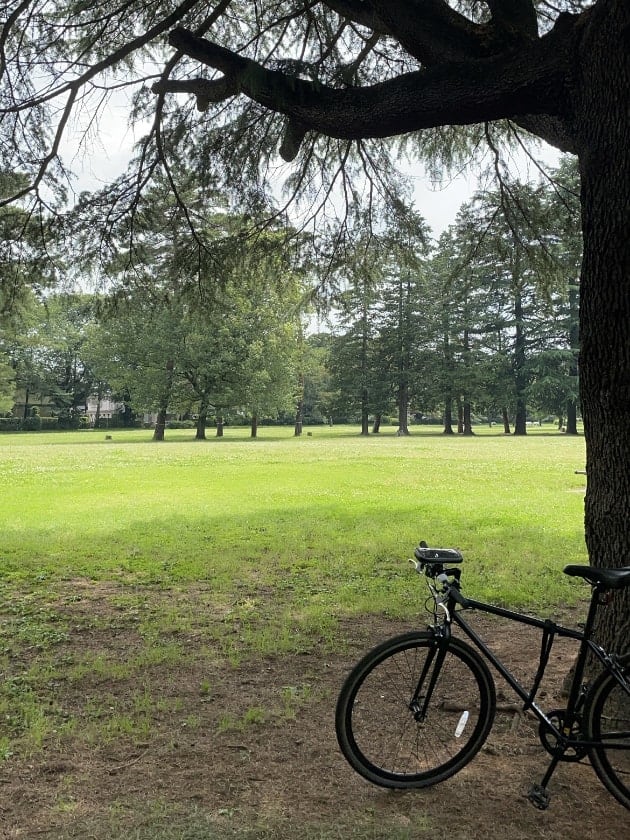 【秋冬が待ちきれない皆様へ。】〜BEAMS LIGHTS21FW LOOK BOOK〜①