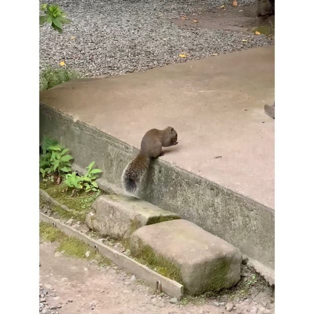 おそろいも楽しめちゃう！