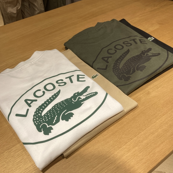 BEAMS（ビームス）の「LACOSTE × BEAMS / 別注 Sweat Stadium