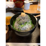 長いシーズン使えます！