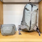 名作Arroのご紹介！