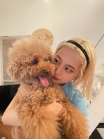 愛犬アフロ