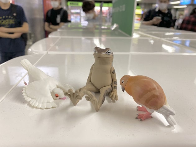 ＜ARC'TERYX＞21AW写真で解説！