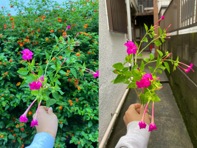 Noma T D Ray Beamsだけの特別なカプセルコレクション ビームス ジャパン 渋谷 Beams