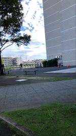 【今季のお楽しみ】
