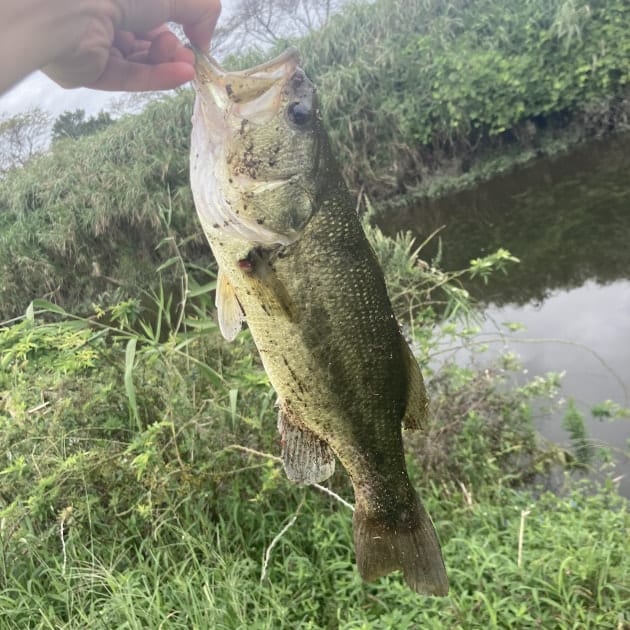 バス釣り最高！！！