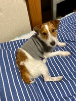 このコラボはやばい！！！