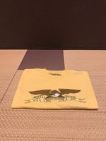 飛ぶ鳥を落とす
