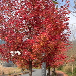 人気アイテムエアシャット　パンツ&ブルゾンのご紹介