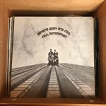 ファルセットボイスに魅せられ続ける私とその甘ーいレコード。