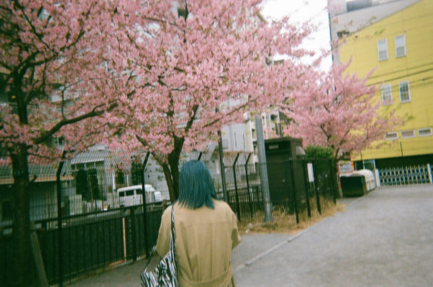 春夏の予約はもう始まってますよ〜